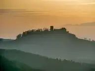 133951