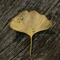134087