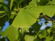 134096