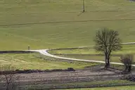 134561