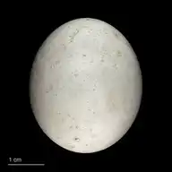 134702