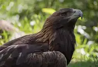 135873