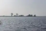 136435