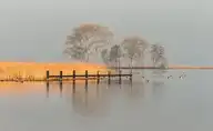 136452