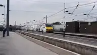 137231