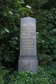 137446