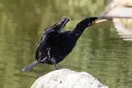 137641