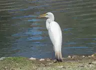 137672