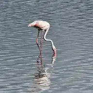 137761