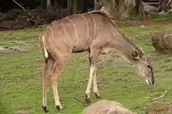 137795
