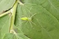 137932