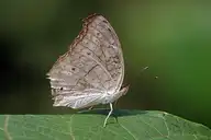 138282