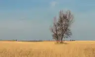 138565