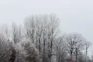 138578