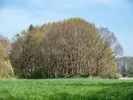 138676