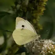 138952