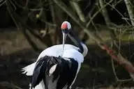 139100