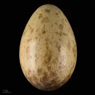 139229