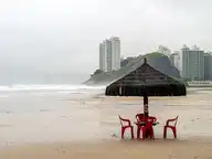 139461