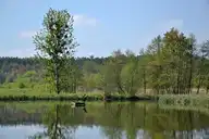 140454