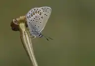 140714