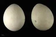 141260