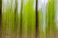 141702