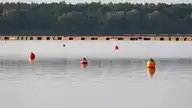 141802
