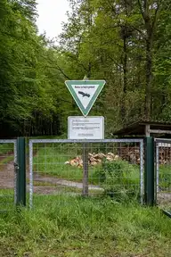 141868