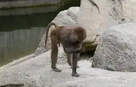 142048