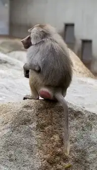 142051