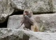 142060
