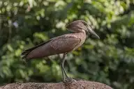 142476