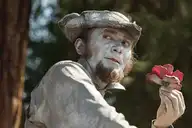 1433