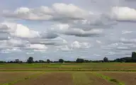 143629