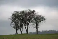 144220