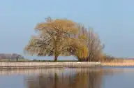 144654