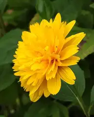 145257