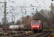14593