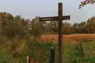 145984