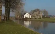 146647