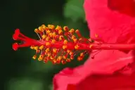 146868