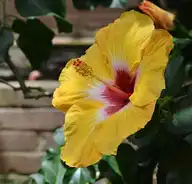 146871