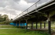146987