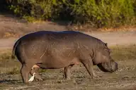 147405