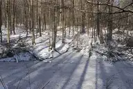 147961