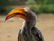 149290