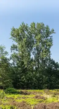 149522