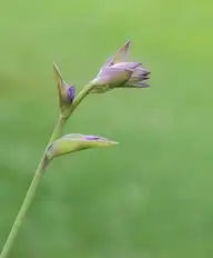 149717