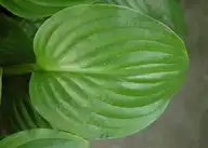 149719